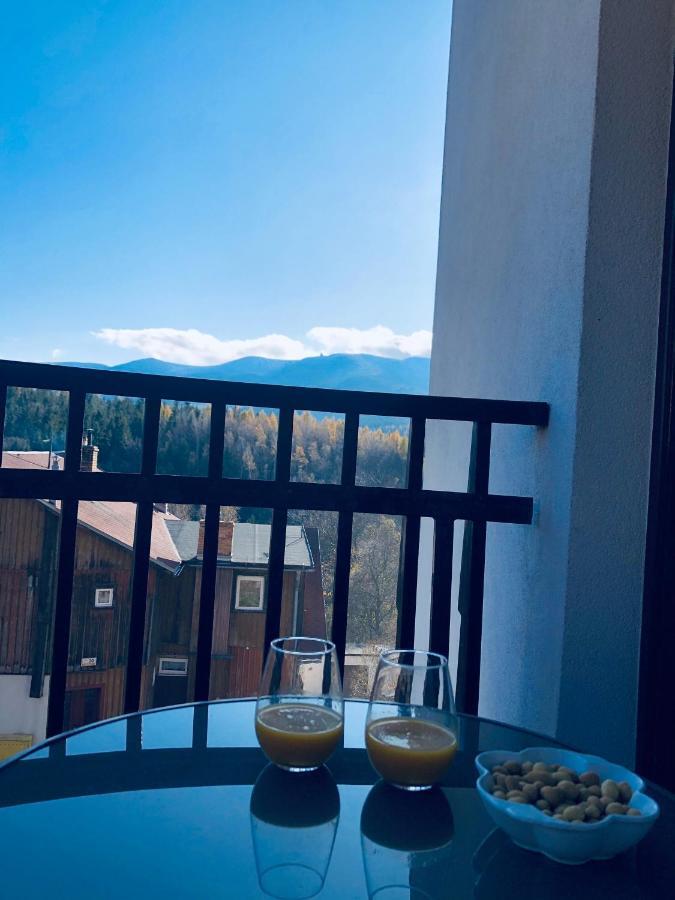 Apartament Panorama Gor - Centrum Miasta Z Widokiem Na Szrenice Шклярска-Поремба Экстерьер фото